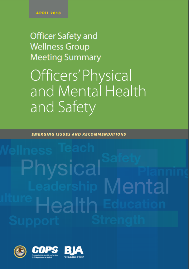 Officers' Physical and Mental Health and Safety - view the document description