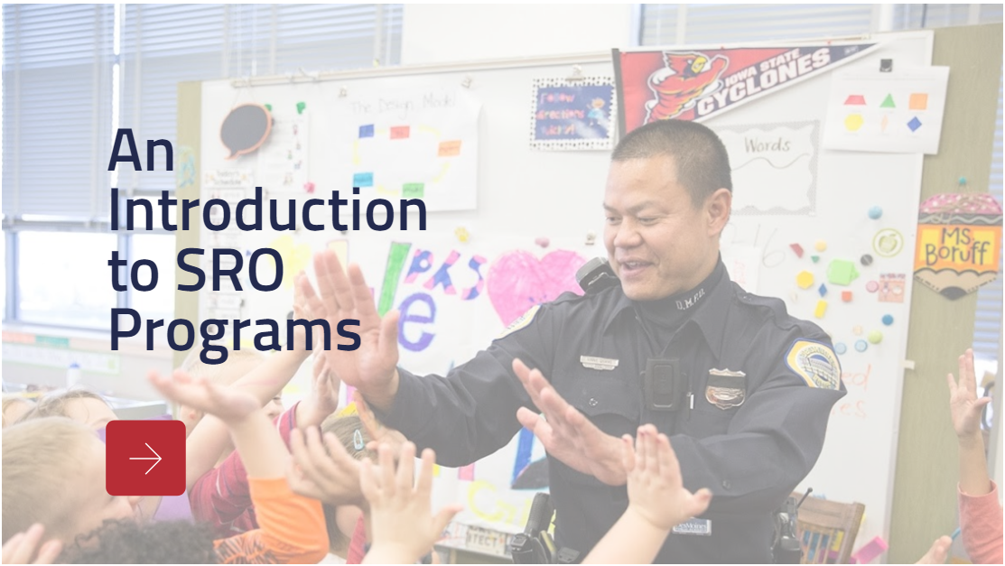 An Introduction to SRO Programs - access course