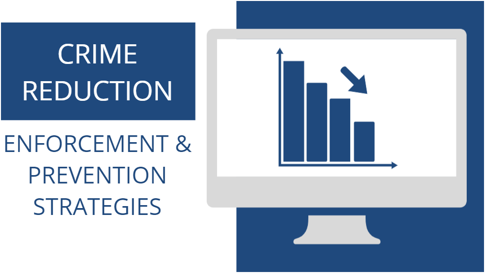 Crime Reduction: Enforcement and Prevention Strategies - access course desciption
