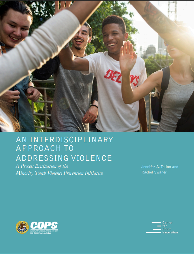 n Interdisciplinary Approach to Addressing Violence: A Process Evaluation of the Minority Youth Violence Prevention Initiative - download document