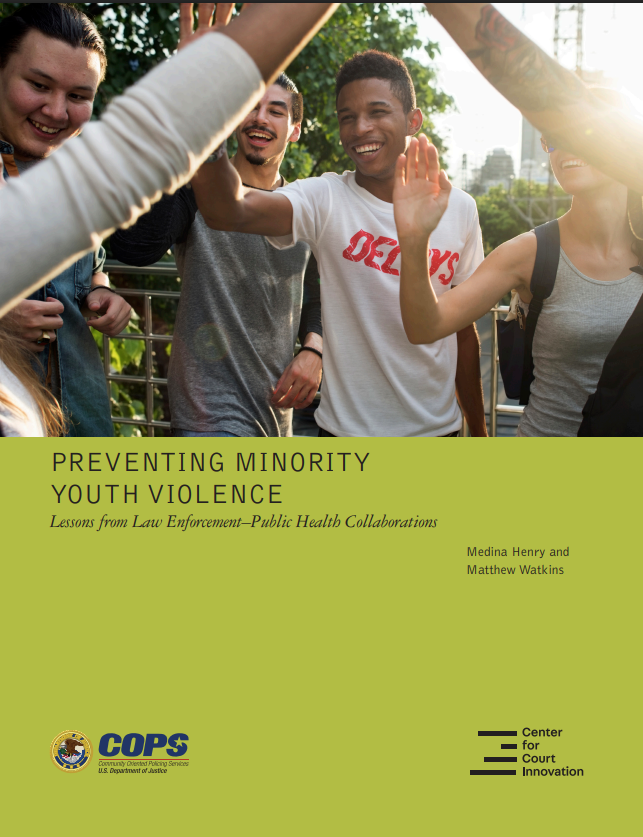 Preventing Minority Youth Violence: Lessons from Law Enforcement—Public Health Collaborations - download document